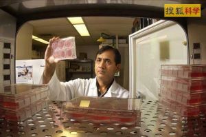 流行性出血熱疫苗