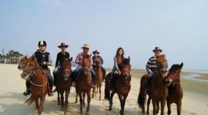 北海幸福山莊馬術俱樂部