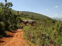 金梁自然村 金梁自然村