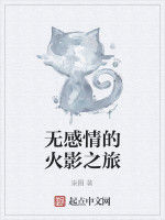無感情的火影之旅