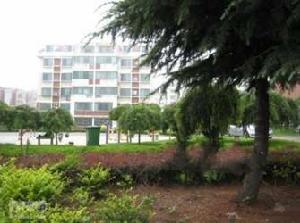 旭日花園 旭日花園