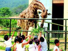 青島森林野生動物世界