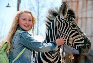 （圖）《斑馬競賽》