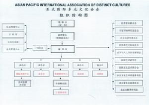 亞太國際多元文化協會組織機構圖