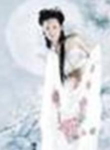 真假貴族 真假貴族