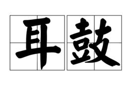 耳鼓 耳鼓