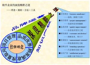 無形資產資本化運營