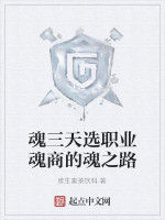 魂三天選職業魂商的魂之路