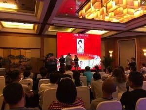 雪亮工程 雪亮工程