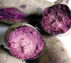 紫心番薯