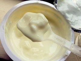 嗜熱菌發酵乳 嗜熱菌發酵乳