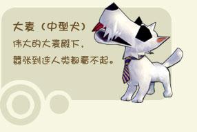 《阿貓阿狗大作戰Online》