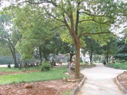 銅陵市工業學校 銅陵市工業學校