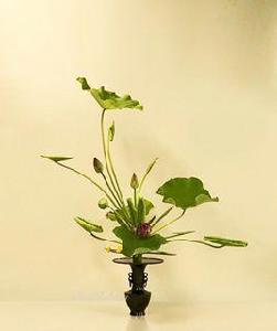 池坊花道 池坊花道