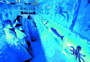 冰凍水族館 冰凍水族館
