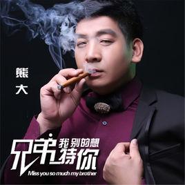 兄弟我特別的想你 兄弟我特別的想你