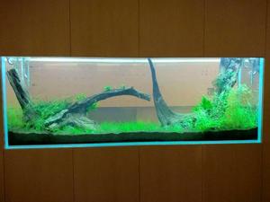 迪茨[浙江台州家居品牌]