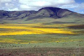 恩格羅恩戈保護區 恩格羅恩戈保護區