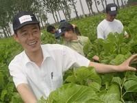 崔家村[山東省東營市東營區龍居鎮崔家村]