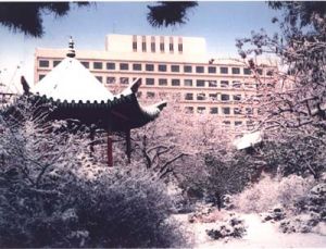 China Medical University (PRC)