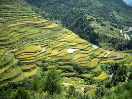 舟溪鎮營盤村 舟溪鎮營盤村