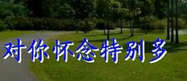 對你懷念特別多[龍飄飄演唱歌曲]