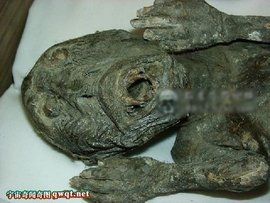 南海鮫人 南海鮫人