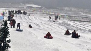 金帝順滑雪場 金帝順滑雪場