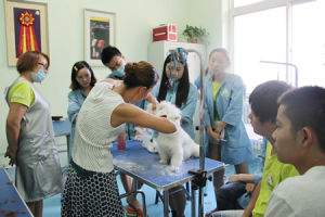 聖寵寵物美容學校美容講解課堂