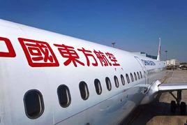 東航[中國東方航空集團公司]