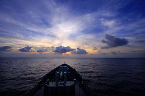 （圖）和平—09