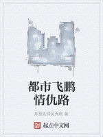 都市飛鵬情仇路