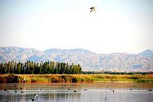 烏梁素海歷史風光