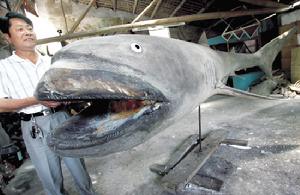 劉鳴老師在修整巨口鯊標本