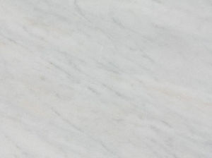 冰川精靈 | Rose White |