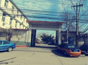 龍爪樹村 龍爪樹村