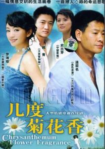 幾度菊花香 幾度菊花香