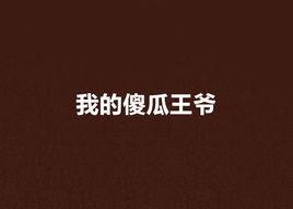 我的傻瓜王爺 我的傻瓜王爺