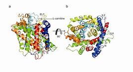 晶體結構分析 晶體結構分析