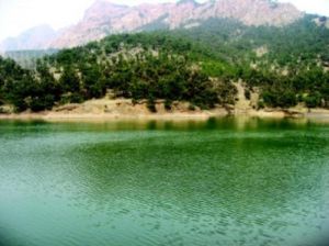 青島吉利河森林公園 青島吉利河森林公園