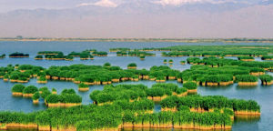 莫力廟沙湖旅遊區 莫力廟沙湖旅遊區