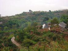 土橋溝村 土橋溝村