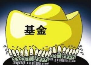 基金募集期 基金募集期