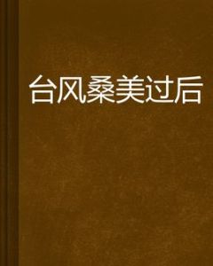 颱風桑美過後 颱風桑美過後