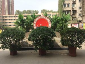 鄭州市緯五路第二國小