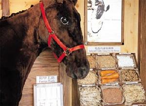 香港賽馬博物館