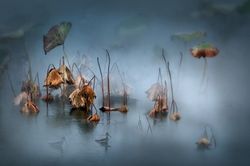 《宿駱氏亭寄懷崔雍崔袞》 《宿駱氏亭寄懷崔雍崔袞》