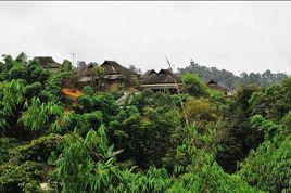 賀開村委會 賀開村委會