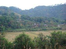 四楞壩自然村 四楞壩自然村