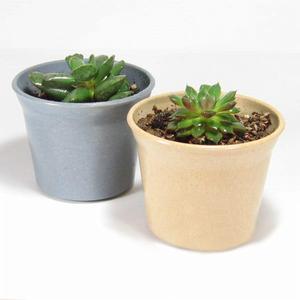 植物纖維花盆圖片